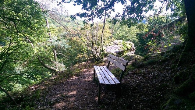 Kuckuckslei-Felsen